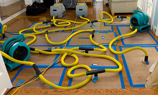 Professional Burst Pipe Water Damage technician working in Chester, CA